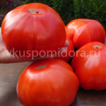 Томат Гигант из Сан-Мартино (Gigante di San Martino), 8 семян