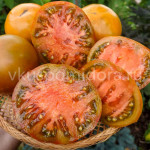 Томат Ириска бифштекс (Butterscotch Beefsteak), 8 семян
