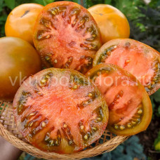 Томат Ириска бифштекс (Butterscotch Beefsteak), 8 семян