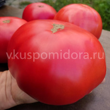 Томат Клавдия Еремеевская, 8 семян