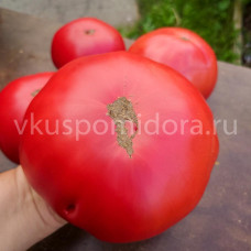 Томат Клавдия Еремеевская, 8 семян