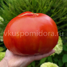 Томат Лёвушка, 8 семян