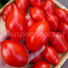Томат Нова из Салерно (Pomodori Nova Di Salerno), 8 семян