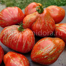 Томат Огненный шар (Palla di Fuoco), 8 семян