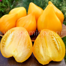 Томат Созель (Sauzelles), 8 семян