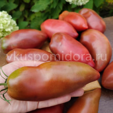 Томат Шоколадная чушка (Шоколадова чушка), 8 семян