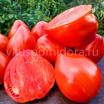 Томат Жикино сердце (Žikino srce), 8 семян