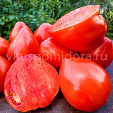 Томат Жикино сердце (Žikino srce), 8 семян