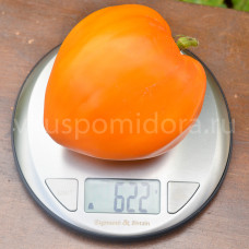 Томат Чудо Земли оранжевое (Earth Wonder Orange), 8 семян