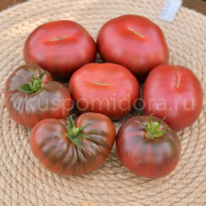 Томат Карма пурпурная (Karma Purple), 8 семян