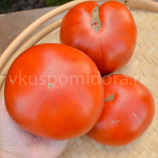 Томат Ковбой (Cowboy), 8 семян