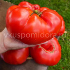 Томат Крупные помидоры из Клужа (Rosii Mari de Cluj), 8 семян