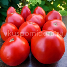 Томат Стейк Канту (Bistecca Cantu), 8 семян