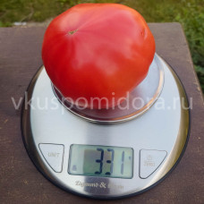 Томат Сызранка, 8 семян