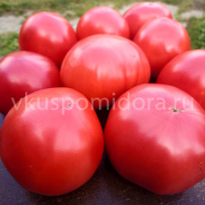 Томат Сызранка, 8 семян