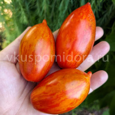 Томат Элемент-Глют - Пламя (E-Glut), 8 семян