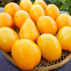 Томат Гном Оконный жёлтый (Dwarf Window Yellow), 8 семян