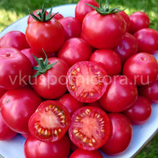 Томат Гном Вишня Джонсона (Dwarf Johnson's Cherry), 8 семян