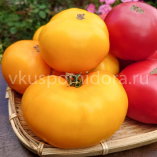 Томат Новый большой гном оранжевый (New Big Dwarf Orange), 8 семян