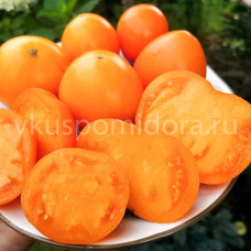 Томат Гном Оранжевое Совершенство Песака (Dwarf Orange Perfection Pesak's), 8 семян