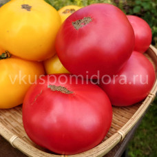 Томат Новый большой гном (New Big Dwarf), 8 семян