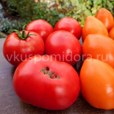 Томат Ахмет красный, 8 семян