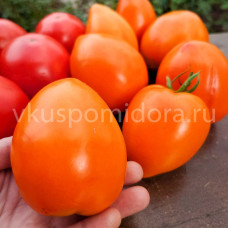 Томат Ахмет оранжевый, 8 семян