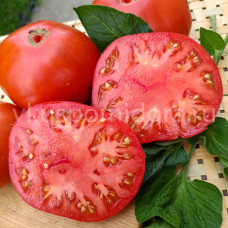 Томат Картофельный из Пензы, 8 семян