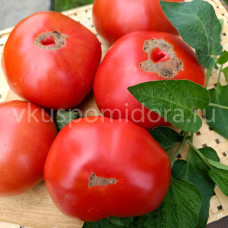 Томат Картофельный из Пензы, 8 семян