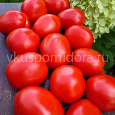 Томат Кечкемети 549 - Венгерский консервный (Kecskemeti 549), 8 семян