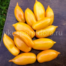 Томат Колибри, 8 семян