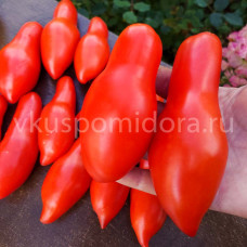 Томат Королевский палец красный (Royal Finger), 8 семян