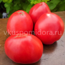 Томат Отец Горио, 8 семян