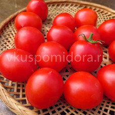 Томат Пендулина красная (Pendulina Red), 8 семян