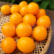 Томат Пендулина желтая (Pendulina Yellow), 8 семян