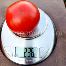 Томат Старосельские, 8 семян