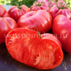 Томат Сызранская плюшка, 8 семян