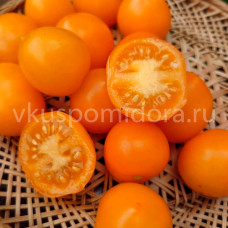 Томат Пендулина оранжевая (Pendulina Orange), 8 семян