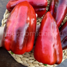 Перец сладкий Наджеранский (Najerano Pepper), 5 семян