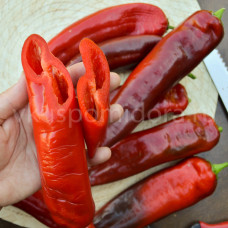 Перец сладкий Рамиро красный (Ramiro red), 5 семян