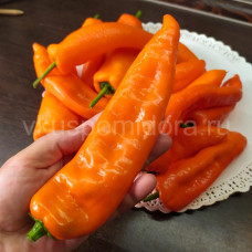 Перец сладкий Рамиро оранжевый (Ramiro orange), 5 семян